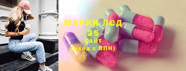 трава Коряжма