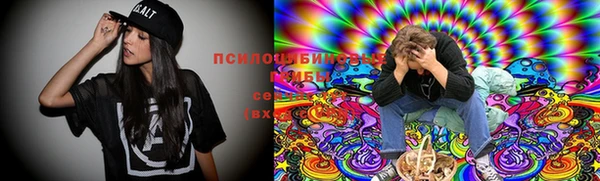ешки Корсаков