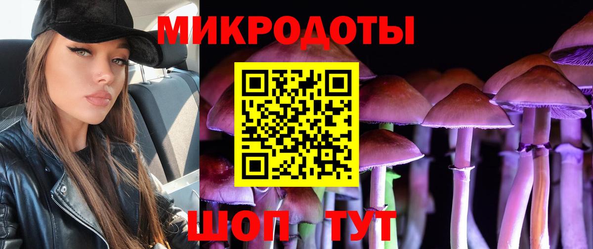 Валуйки  Псилоцибиновые грибы Cubensis  Вход с VPN  Псилоцибиновые грибы Psilocybe 